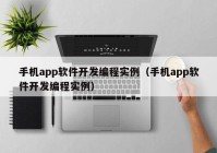 手机app软件开发编程实例（手机app软件开发编程实例）