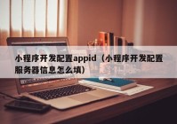 小程序开发配置appid（小程序开发配置服务器信息怎么填）